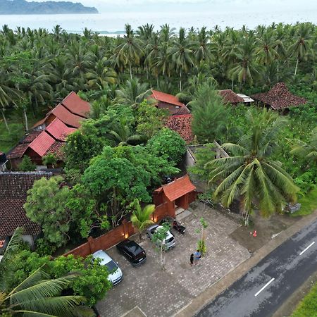 Java Turtle Lodge Meru Betiri Banyuwangi  Bagian luar foto