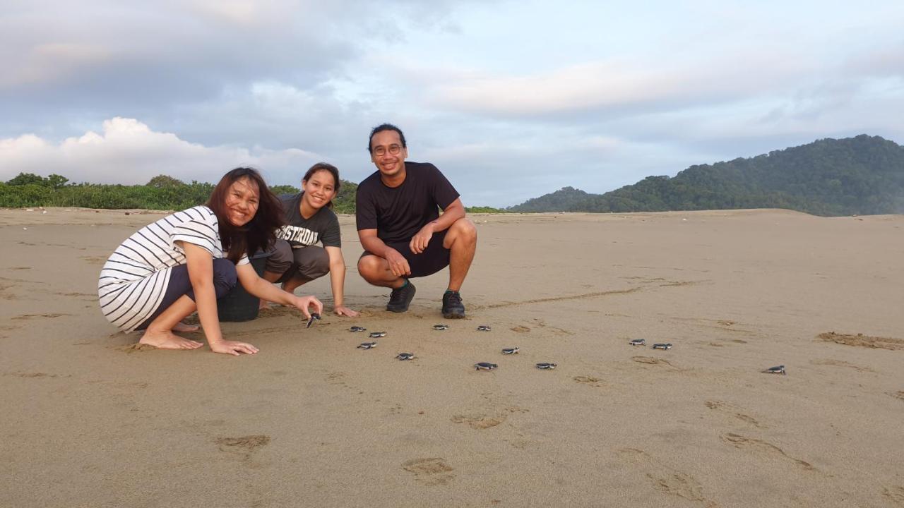 Java Turtle Lodge Meru Betiri Banyuwangi  Bagian luar foto