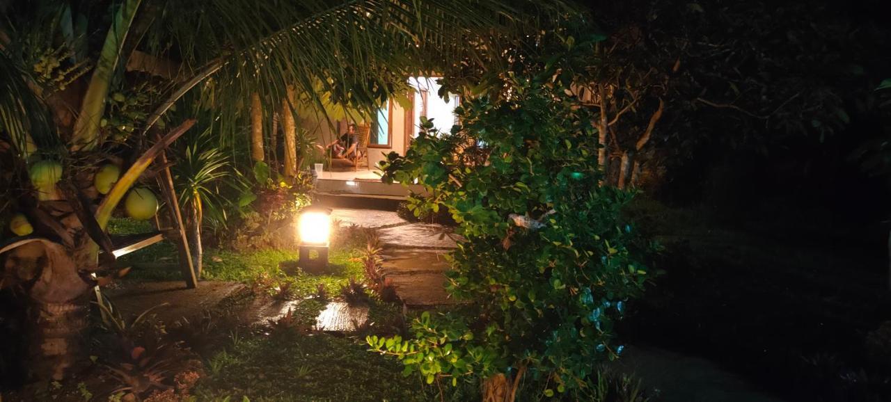 Java Turtle Lodge Meru Betiri Banyuwangi  Bagian luar foto