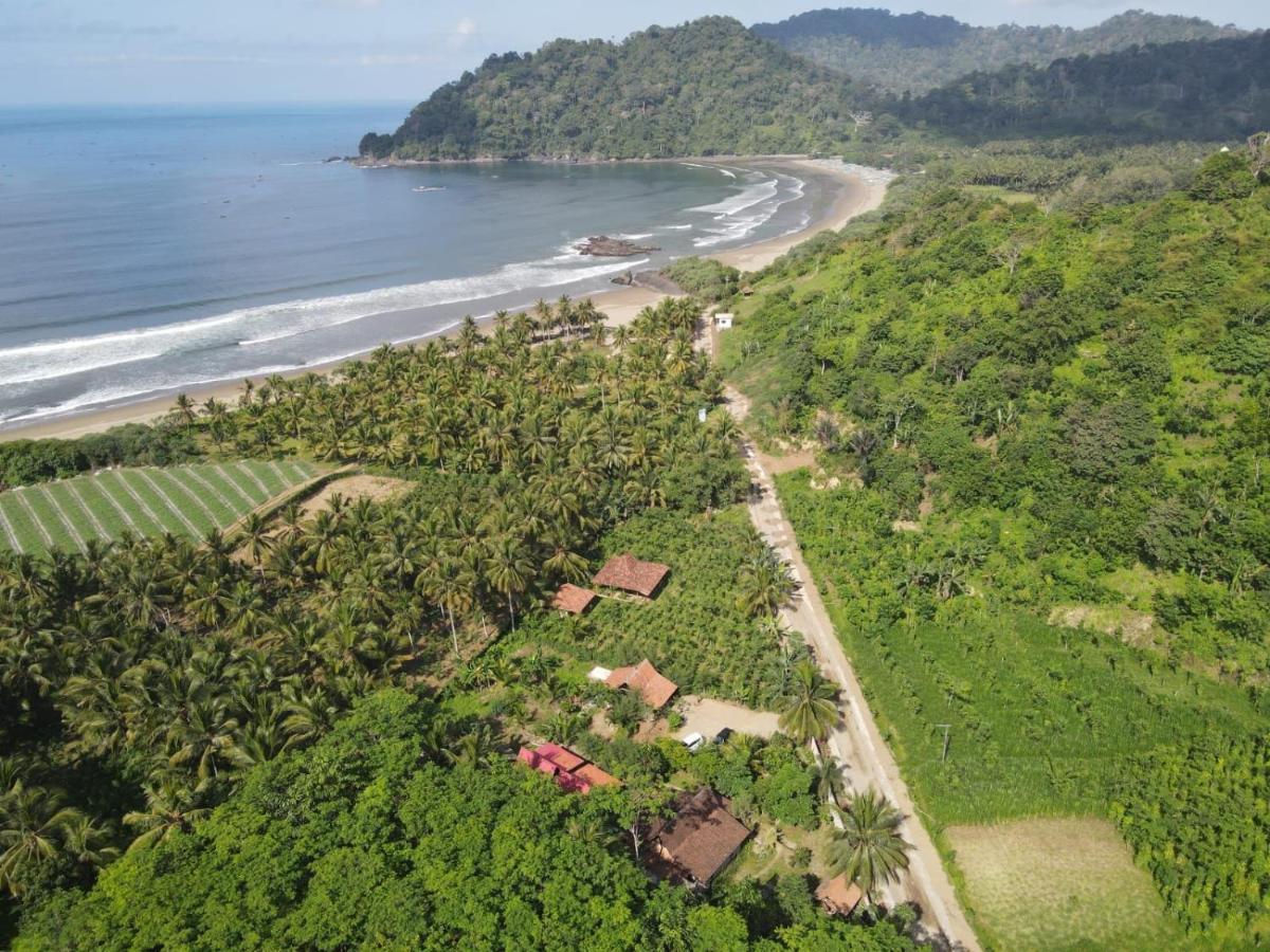 Java Turtle Lodge Meru Betiri Banyuwangi  Bagian luar foto