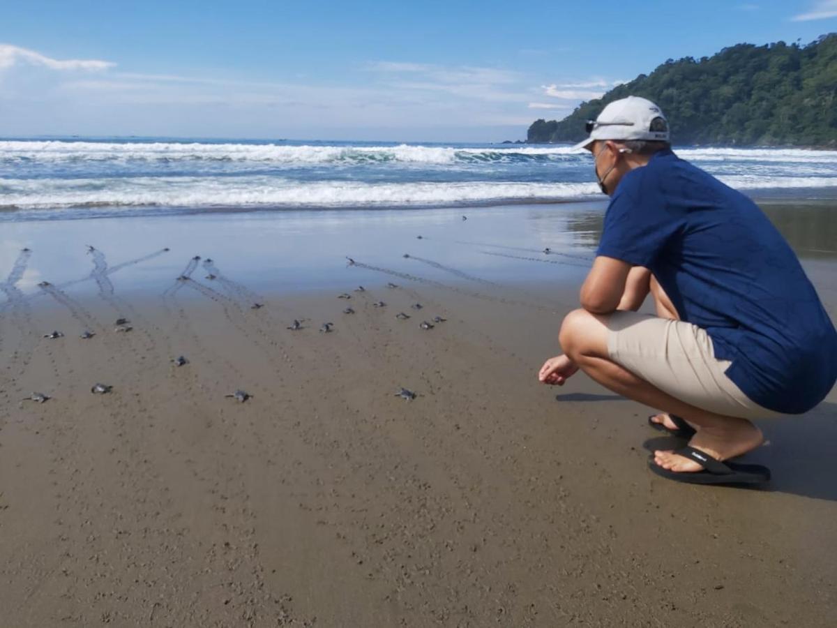 Java Turtle Lodge Meru Betiri Banyuwangi  Bagian luar foto