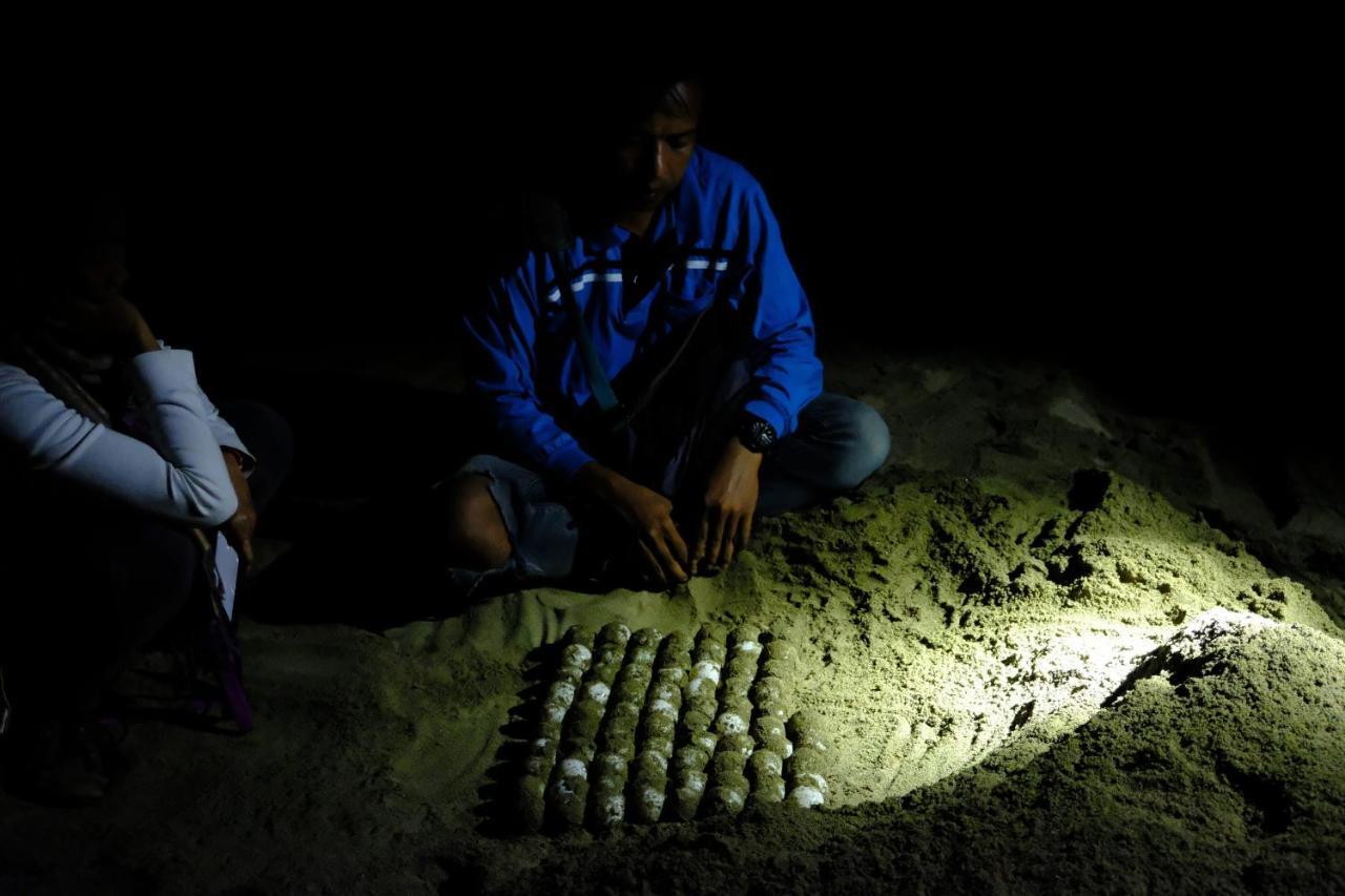 Java Turtle Lodge Meru Betiri Banyuwangi  Bagian luar foto