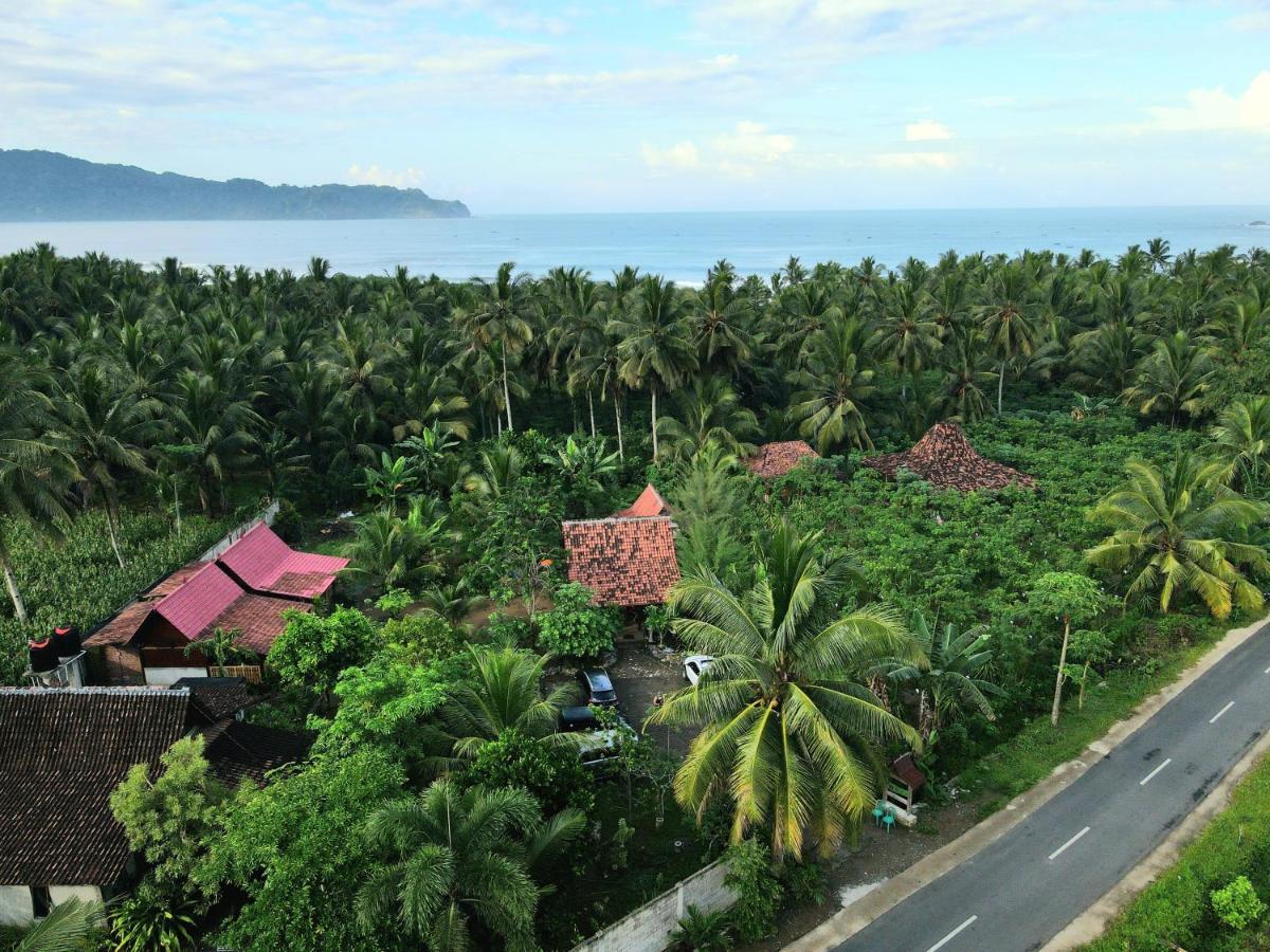 Java Turtle Lodge Meru Betiri Banyuwangi  Bagian luar foto