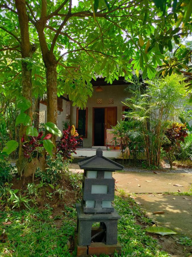 Java Turtle Lodge Meru Betiri Banyuwangi  Bagian luar foto