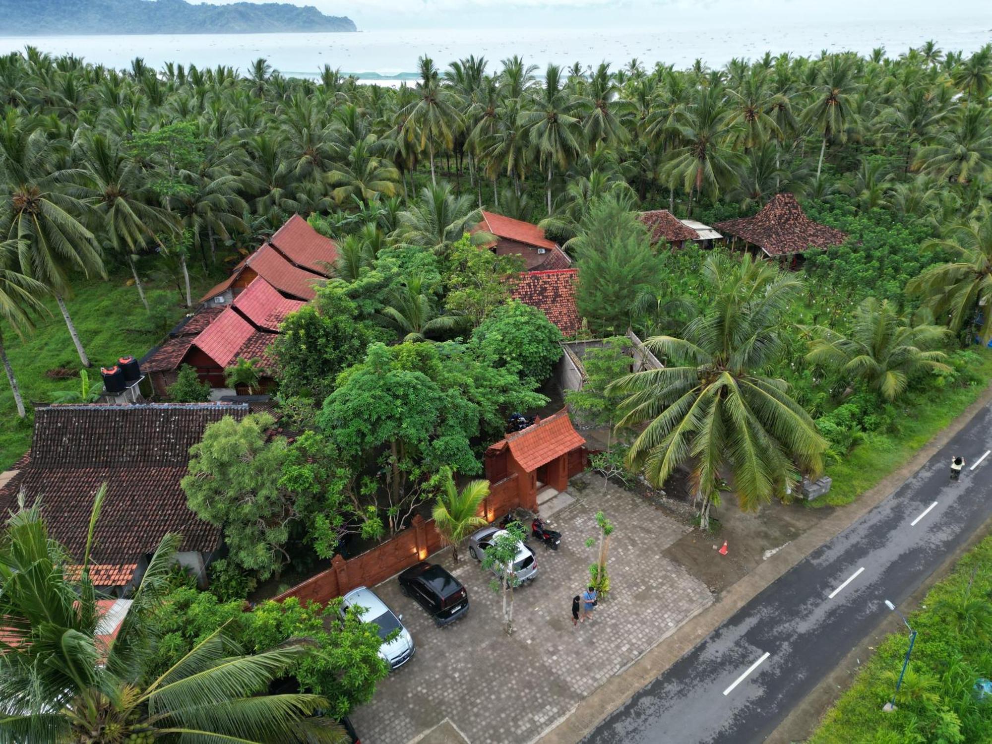 Java Turtle Lodge Meru Betiri Banyuwangi  Bagian luar foto