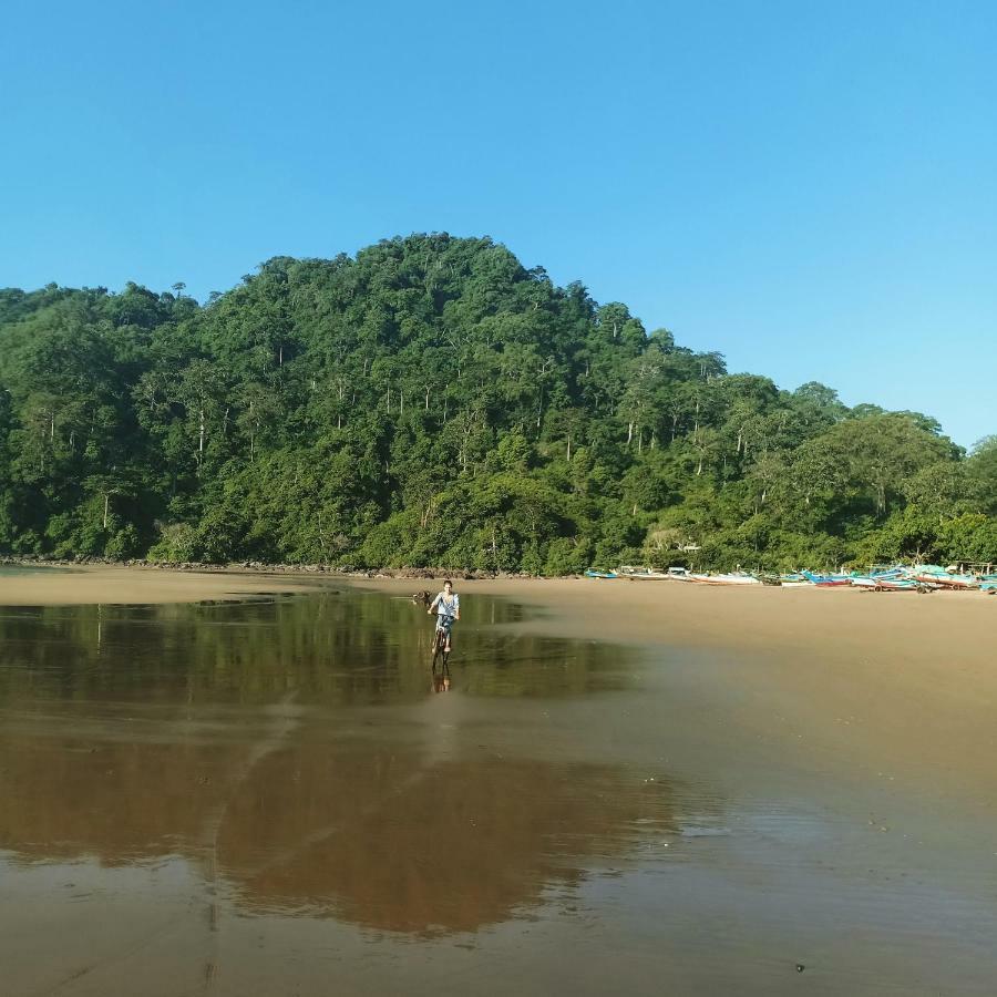 Java Turtle Lodge Meru Betiri Banyuwangi  Bagian luar foto