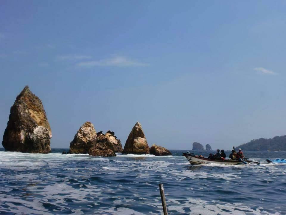 Java Turtle Lodge Meru Betiri Banyuwangi  Bagian luar foto