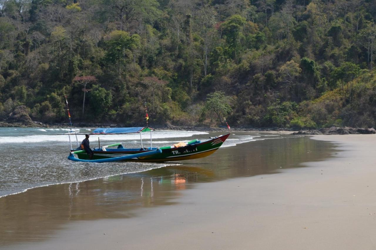 Java Turtle Lodge Meru Betiri Banyuwangi  Bagian luar foto