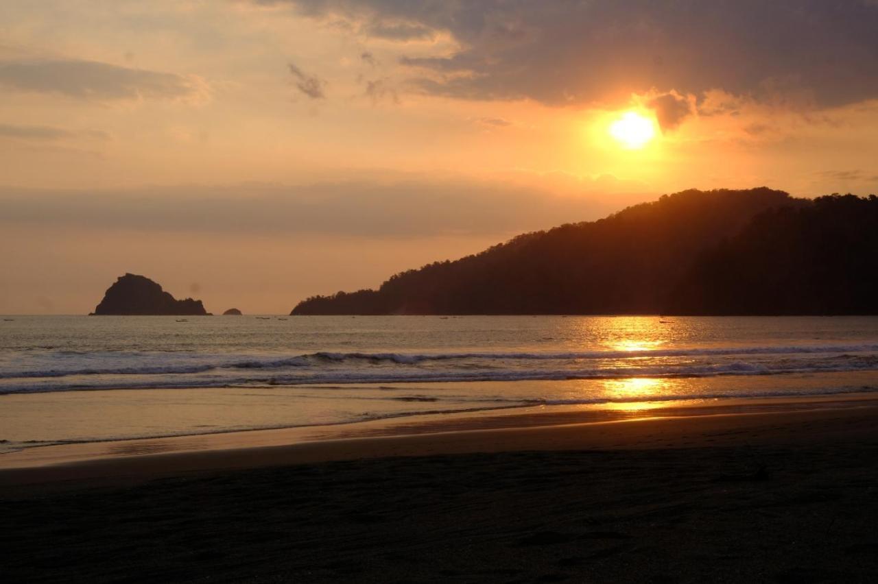 Java Turtle Lodge Meru Betiri Banyuwangi  Bagian luar foto