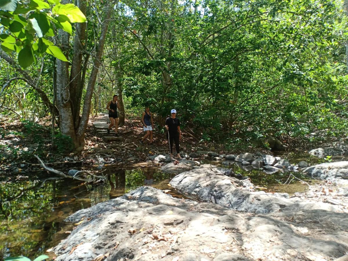 Java Turtle Lodge Meru Betiri Banyuwangi  Bagian luar foto
